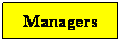 Text Box: Managers
