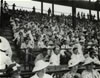 Description: E:\TCBA\TCBA Web\photogallery\thumbnails\Ladies Day_jpg.jpg